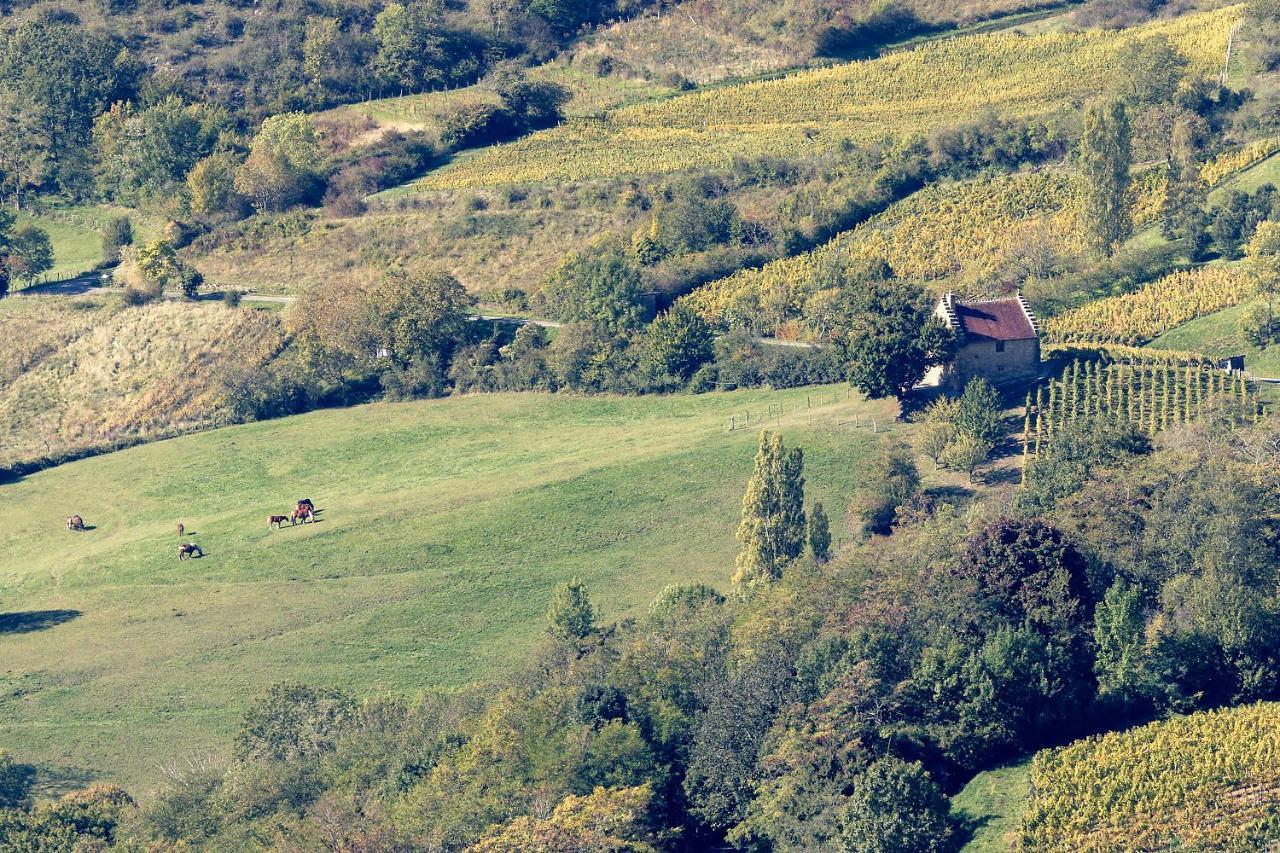 Les Billardes - Le Gite - Jura Gizia Dış mekan fotoğraf